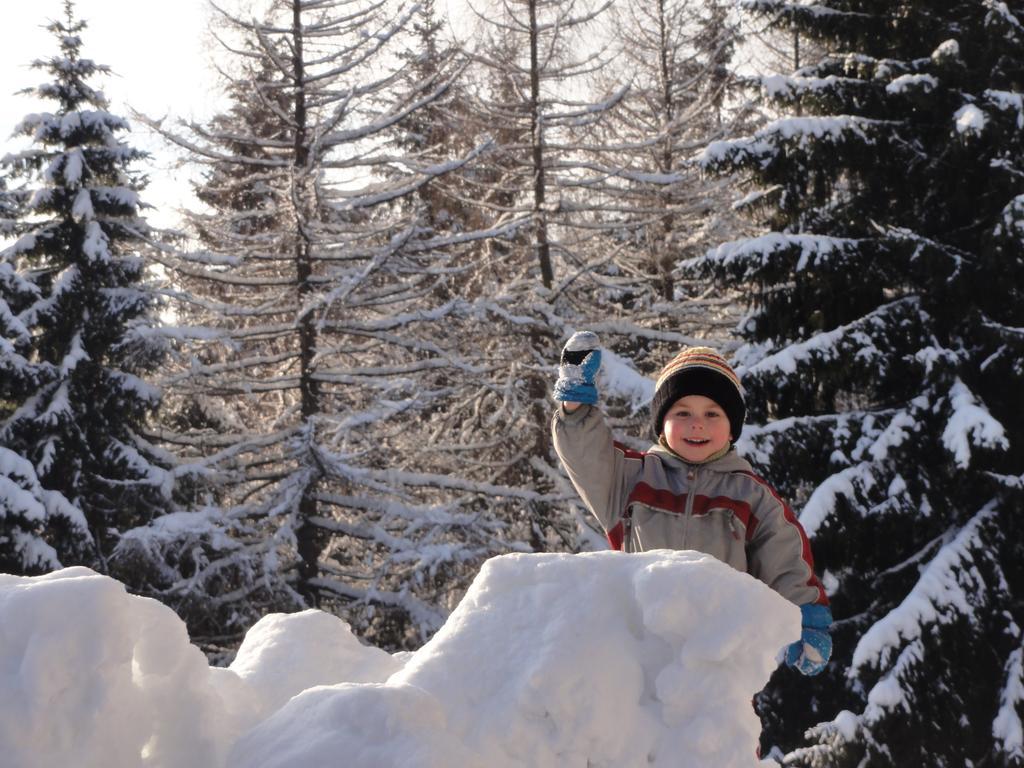 Hotel Pavla Vysocina Nove Mesto na Morave Bagian luar foto