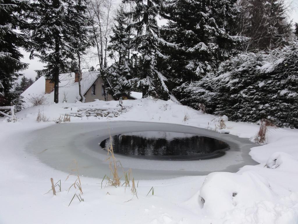 Hotel Pavla Vysocina Nove Mesto na Morave Bagian luar foto