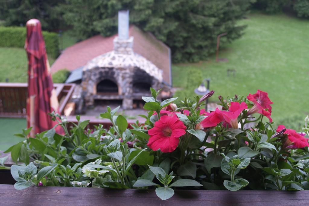 Hotel Pavla Vysocina Nove Mesto na Morave Ruang foto